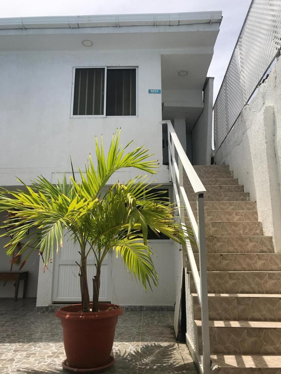 Tropical Dreams Otel San Andrés Dış mekan fotoğraf